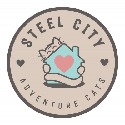 Steel City Adventure Cats - Pet Shelter and Rescue