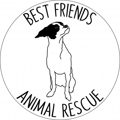 Best Friends Animal Rescue - Pet Shelter and Rescue in Wasilla, Alaska