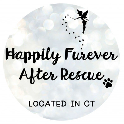 Happily Furever After Rescue - Pet Shelter and Rescue in Bethel, Connecticut