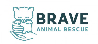 Brave Animal Rescue - Pet Shelter and Rescue in Lincoln, Nebraska