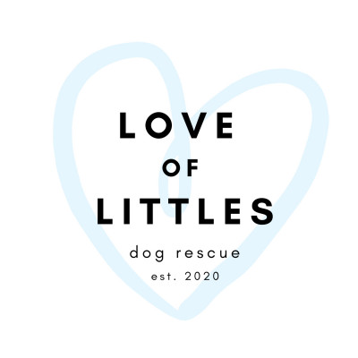 Love Of Littles Dog Rescue And Foundation - Pet Shelter and Rescue in Heiskell, Tennessee