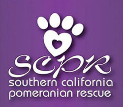 Southern California Pomeranian Rescue - Pet Shelter and Rescue in Irvine, California