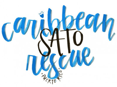 Caribbean Sato Rescue, PR - Pet Shelter and Rescue in Millcreek, Utah