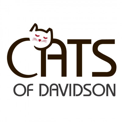 Cats Of Davidson - Pet Shelter and Rescue in Davidson, North Carolina
