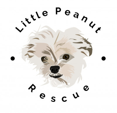 Little Peanut Rescue - Pet Shelter and Rescue in Guelph, Ontario