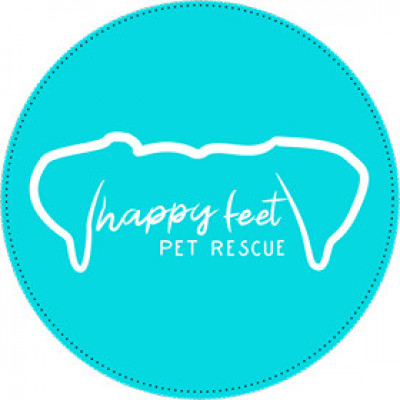 Happy Feet Pet Rescue - Pet Shelter and Rescue in Lansing, Michigan