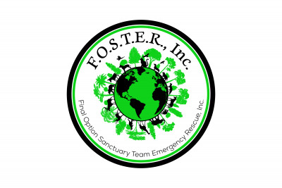 (F.O.S.T.E.R. Inc) Final Option Sanctuary Team Emergency Rescue Inc. - Pet Shelter and Rescue in Beaverton, Oregon