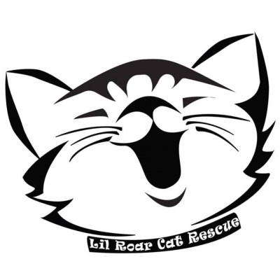 Lil Roar Cat Rescue - Pet Shelter and Rescue in Virginia Beach, Virginia