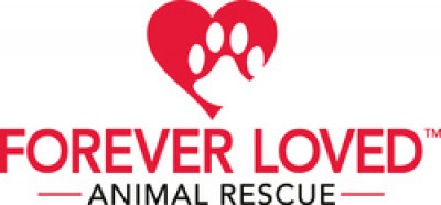 Forever Loved Animal Rescue - Pet Shelter and Rescue in Maple Grove, Minnesota