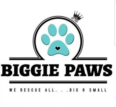 Biggie Paws Rescue - Pet Shelter and Rescue in Bristol, Wisconsin
