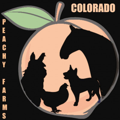 Peachy Farms INC - Pet Shelter and Rescue in Parker, Colorado