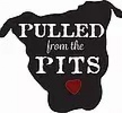 Pulled From The Pits, A Pitbull Rescue - Pet Shelter and Rescue in Minot, Maine