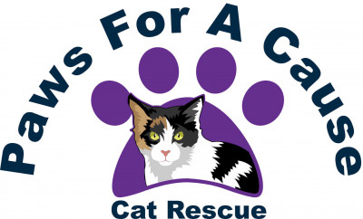 Paws For A Cause Cat Rescue - Pet Shelter and Rescue in Mead, Oklahoma