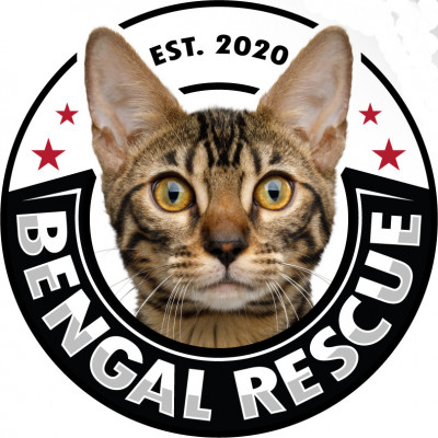 Bengal Rescue - Pet Shelter and Rescue in Millcreek, Utah