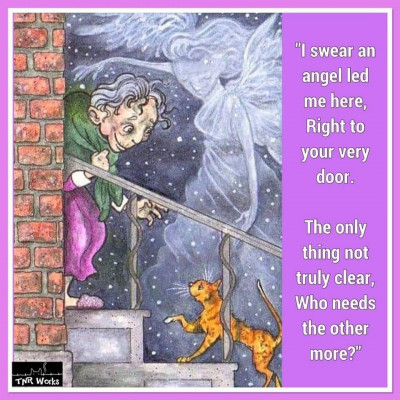 A Walk In The Park For Homeless Animals - Pet Shelter and Rescue in North Richland Hills, Texas