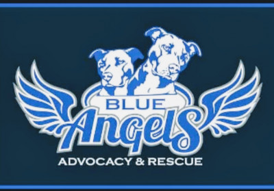 Blue Angels Advocacy And Rescue Resource - Pet Shelter and Rescue in Hampton, Virginia