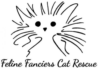 Feline Fanciers Cat Rescue - Pet Shelter and Rescue in Huntsville, Alabama