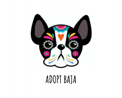 Adopt Baja - Pet Shelter and Rescue in El Cajon, California