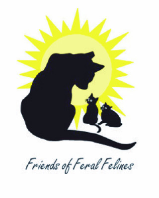 Friends Of Feral Felines - Pet Shelter and Rescue in Charlotte, North Carolina