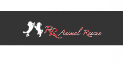 R&R Animal Rescue - Pet Shelter and Rescue in Camarillo, California