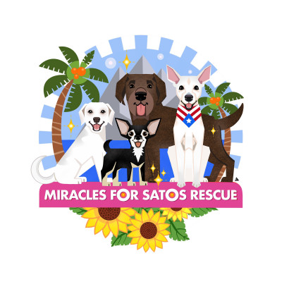Miracles For Satos Rescue - Pet Shelter and Rescue in New York, New York