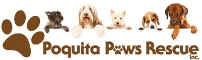Poquita Paws Rescue - Pet Shelter and Rescue in Terrell Hills, Texas