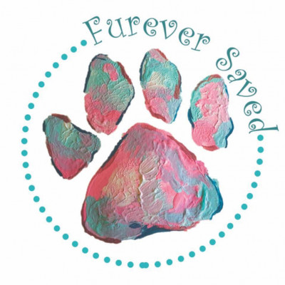 Furever Saved - Pet Shelter and Rescue in Miami, Florida