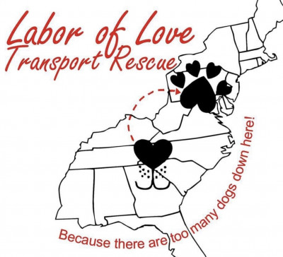 Labor Of Love Transport Rescue - Pet Shelter and Rescue in Horse Shoe, North Carolina