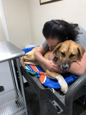 Mended Paws Sanctuary - Pet Shelter and Rescue in Blytheville, Arkansas