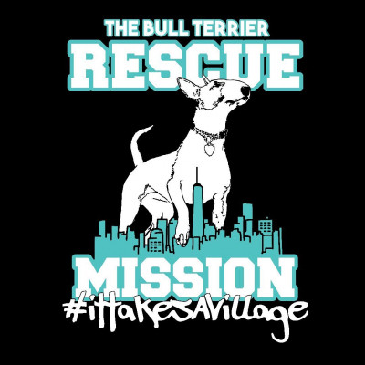 Bull Terrier Rescue Mission, Inc. - Pet Shelter and Rescue in New York, New York