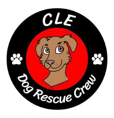 CLE Dog Rescue Crew - Pet Shelter and Rescue in Parma Heights, Ohio