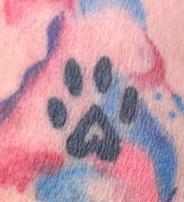 Pawprints Dog Rescue - Pet Shelter and Rescue in Quartz Hill, California