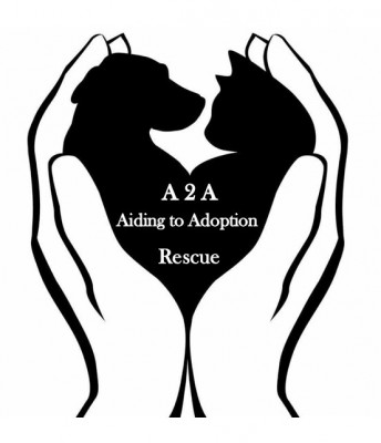 Aiding2Adoption Rescue - Pet Shelter and Rescue in Pocatello, Idaho