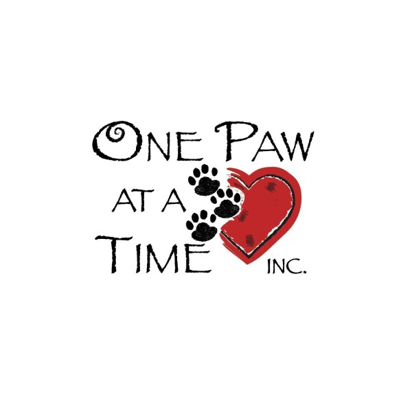One Paw At A Time Rescue Pet Shelter and Rescue PetCurious