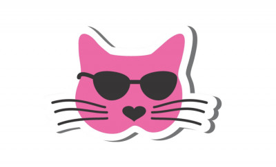 East Dallas Kitty Club - Pet Shelter and Rescue in Dallas, Texas