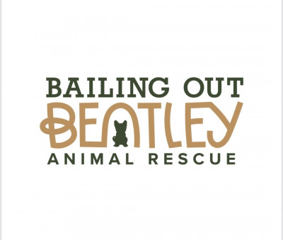 Bailing Out Bentley - Pet Shelter and Rescue in Simi Valley, California