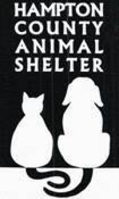 Hampton County Animal Shelter - Pet Shelter and Rescue in Varnville, South Carolina