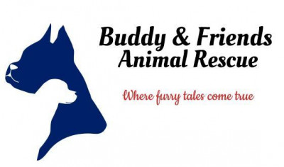 Buddy And Friends Animal Rescue - Pet Shelter and Rescue in Pembroke, Massachusetts