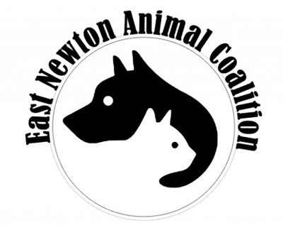 East Newton Animal Coalition, Inc. - Pet Shelter and Rescue in Granby, Missouri