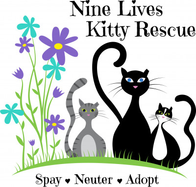 Nine Lives Kitty Rescue Inc - Pet Shelter and Rescue in Panama City, Florida
