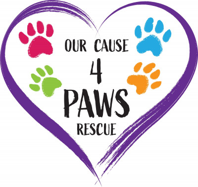 Our Cause 4 Paws Rescue - Pet Shelter and Rescue in Orlando, Florida