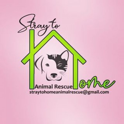 Stray To Home Animal Rescue Inc - Pet Shelter and Rescue in North Arlington, New Jersey