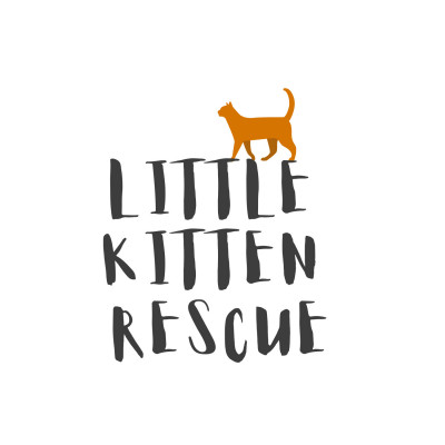 Little Kitten Rescue - Pet Shelter and Rescue in Broken Arrow, Oklahoma