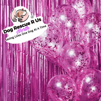 Dog Rescue R Us - Pet Shelter and Rescue in Loves Park, Illinois