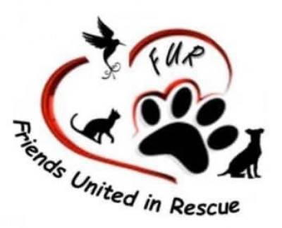 (FUR) Friends United In Rescue - Pet Shelter and Rescue in Rowlett, Texas