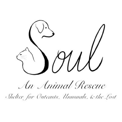 SOUL (Shelter For Outcasts, Unusuals, And The Lost An Animal Rescue) - Pet Shelter and Rescue in Phoenix, Arizona