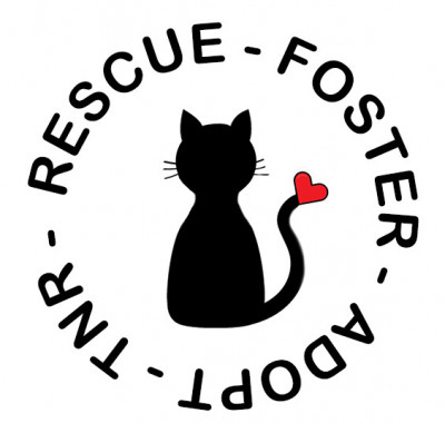 Kitten Rescue 101 - Pet Shelter and Rescue in Fremont, California
