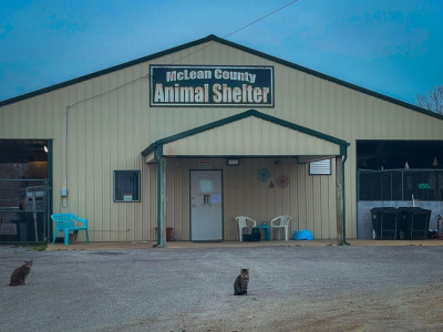 McLean County Animal Shelter - Pet Shelter and Rescue in Calhoun, Kentucky