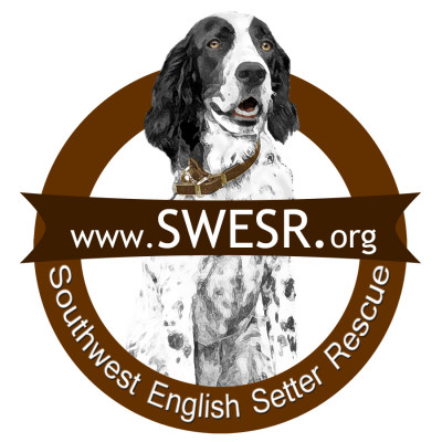 Southwest English Setter Rescue - Pet Shelter and Rescue in FAIR OAKS, Texas