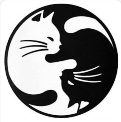 Adopt A Kitty - Pet Shelter and Rescue in Theodore, Alabama